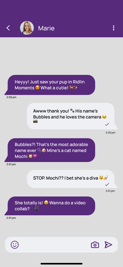 Chat Feature