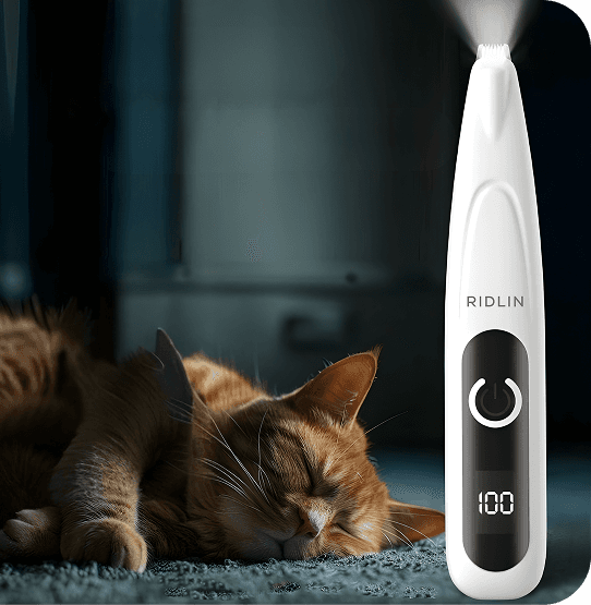 Silent grooming with cats