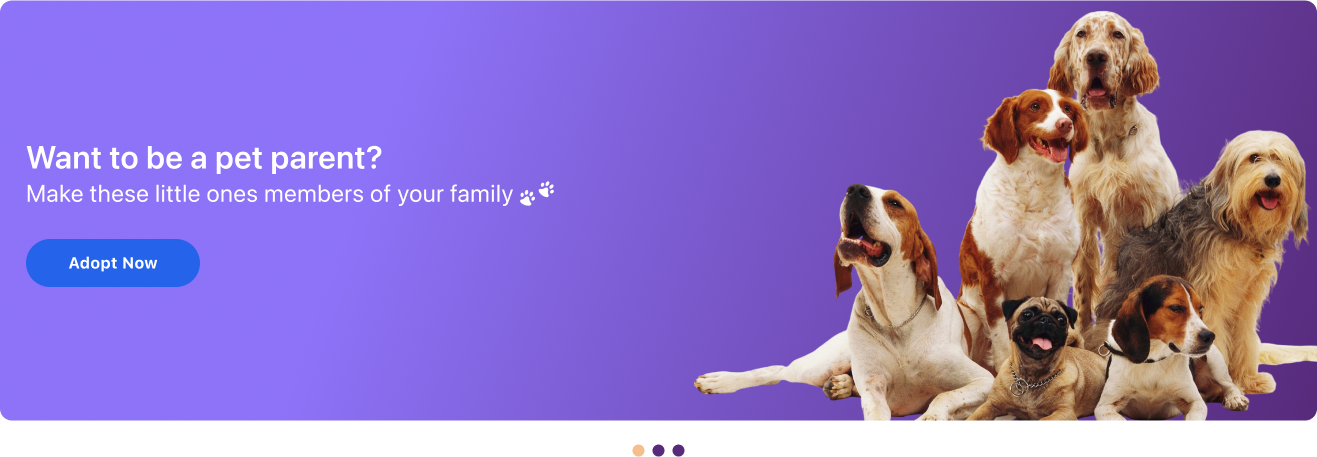 Marketplace banner showcasing Ridlin's pet services