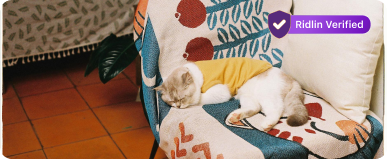 Top Pet Stores near you card 1