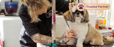 Top Pet Salons near you card 1